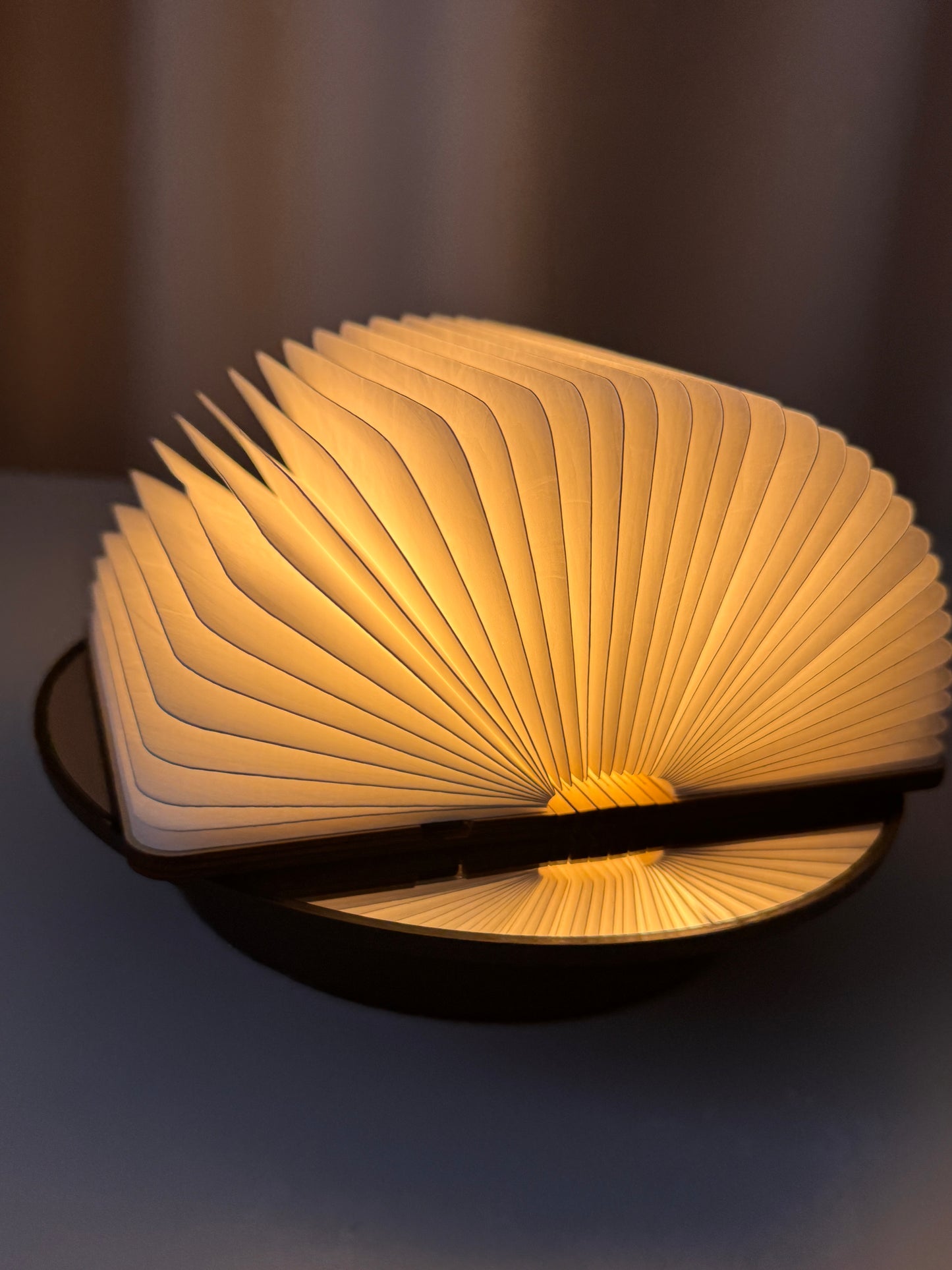 Rechargeable Book Light - 3 Color Modes, 7-Hour Battery Life